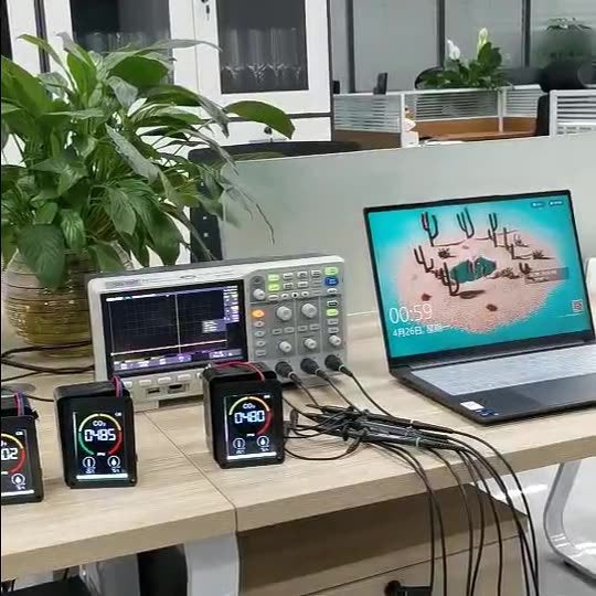 Portable Air Quality Monitor