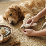 Pet Nail Grinder