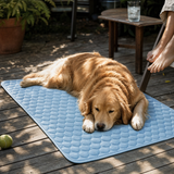 Dog Cooling Mat