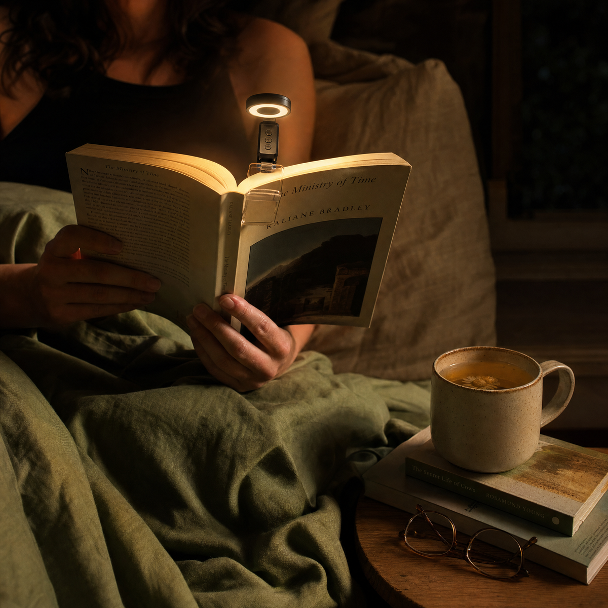 USB Rechargeable Clip-On Book Light
